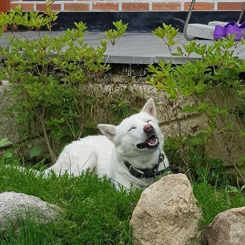 프로필 이미지
