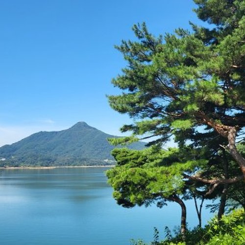프로필 이미지