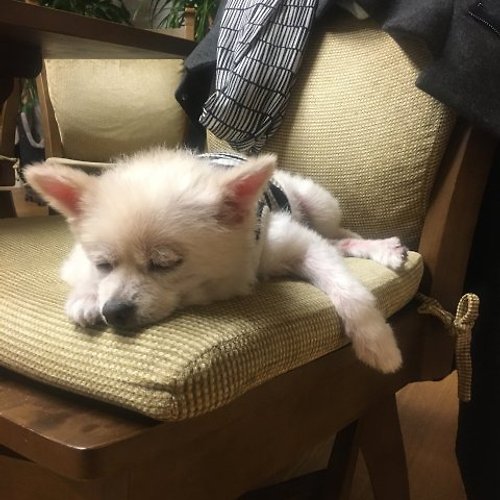 프로필 이미지