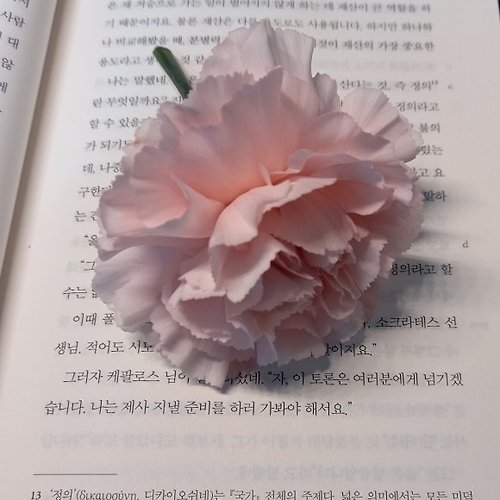 프로필