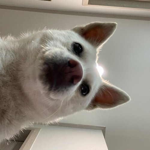 프로필 이미지