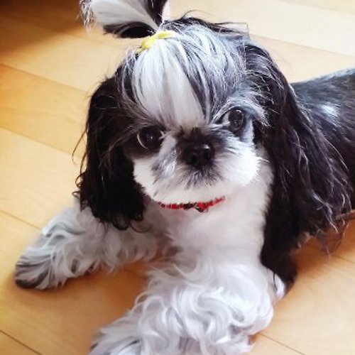 프로필 이미지