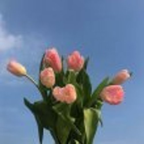 프로필 이미지