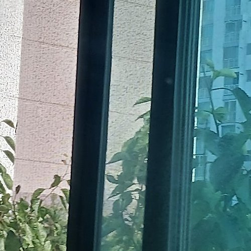 프로필