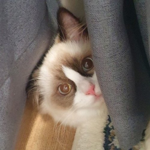 프로필 이미지