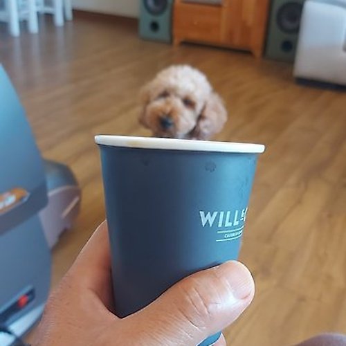 프로필 이미지