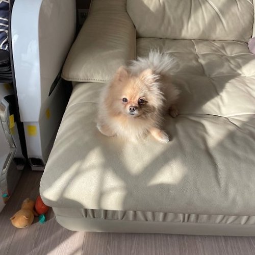 프로필 이미지