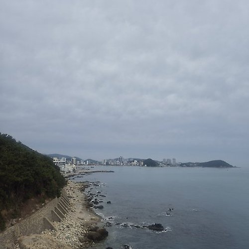 프로필