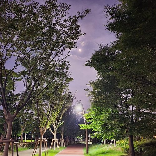 프로필 이미지