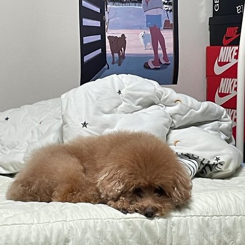 프로필 이미지