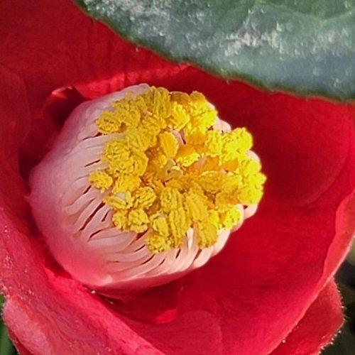 프로필