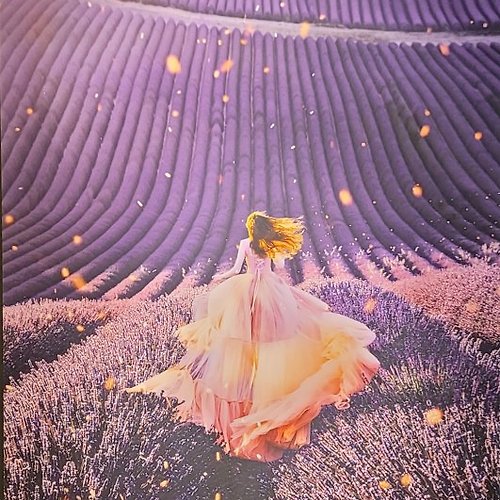 프로필 이미지