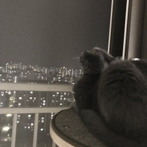프로필 이미지