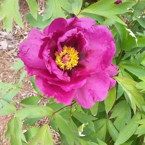 프로필 이미지