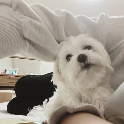 프로필 이미지