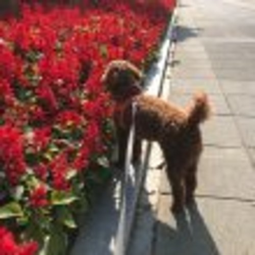 프로필 이미지