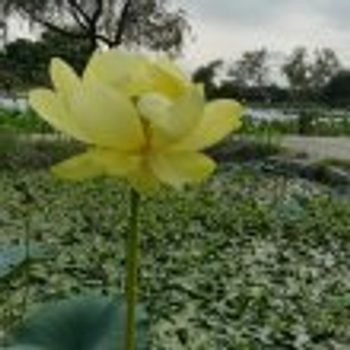 프로필 이미지