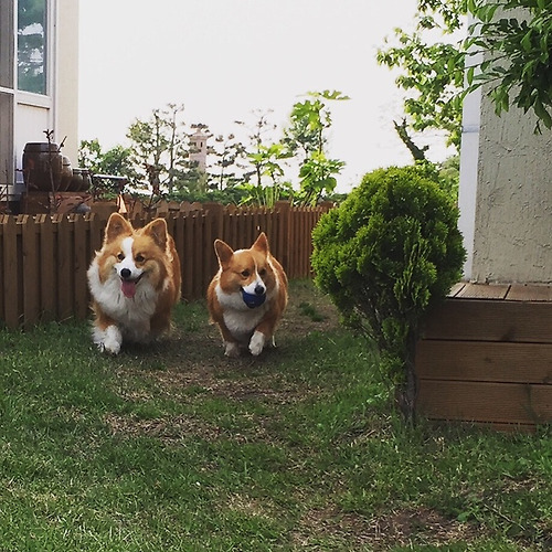 프로필 이미지