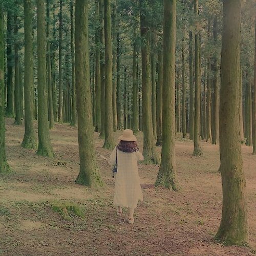 프로필