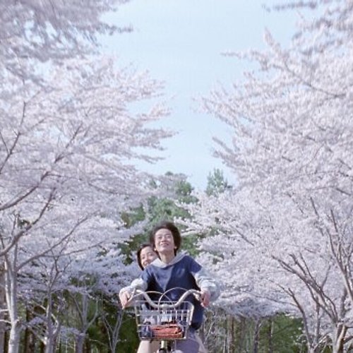 프로필 이미지