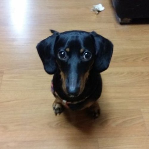 프로필 이미지