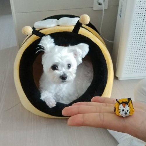 프로필 이미지