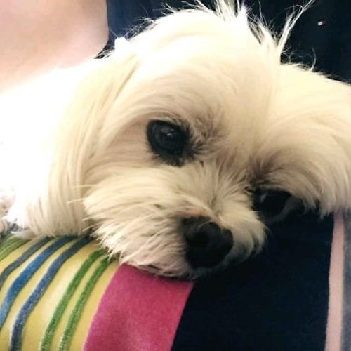 프로필 이미지