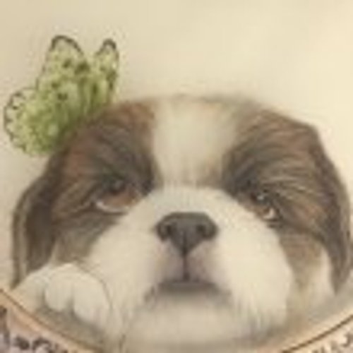 프로필 이미지