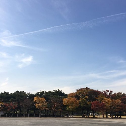 프로필