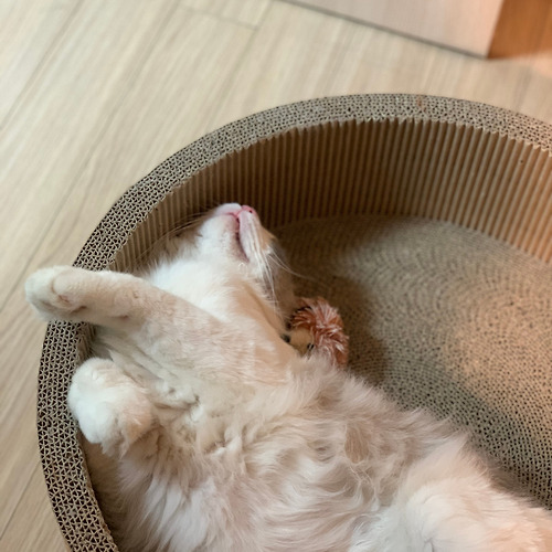 프로필 이미지