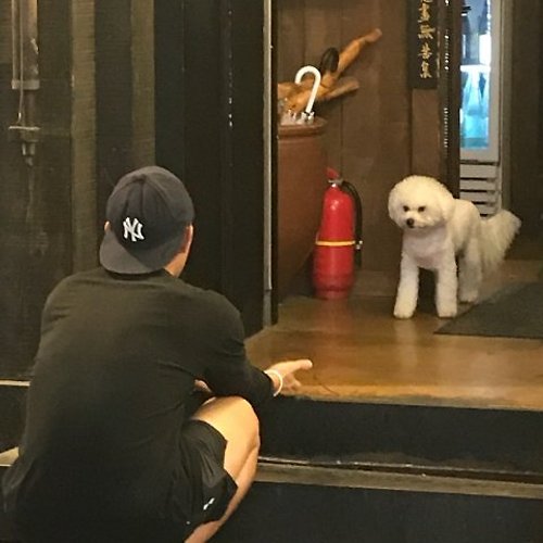 프로필 이미지
