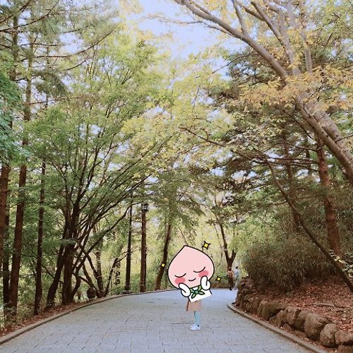프로필 이미지