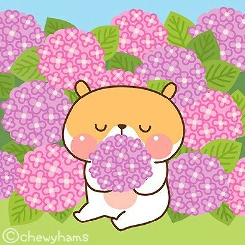 프로필 이미지