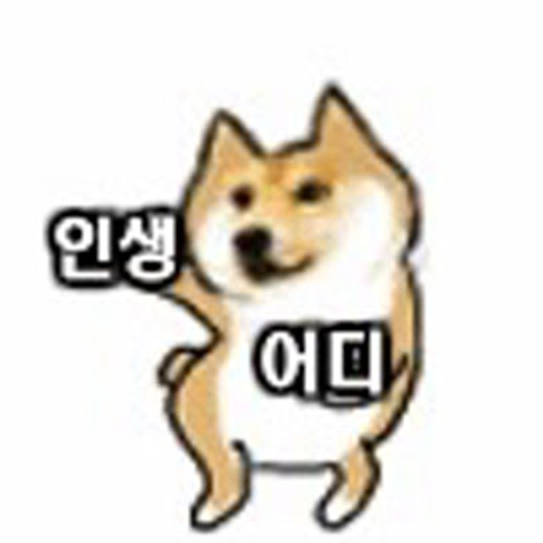 프로필 이미지