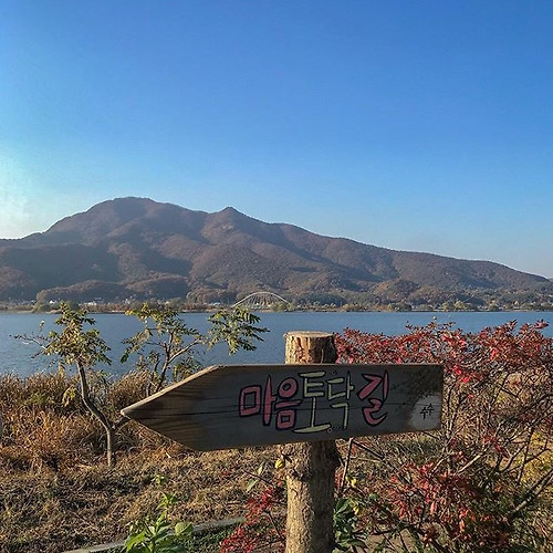 프로필 이미지