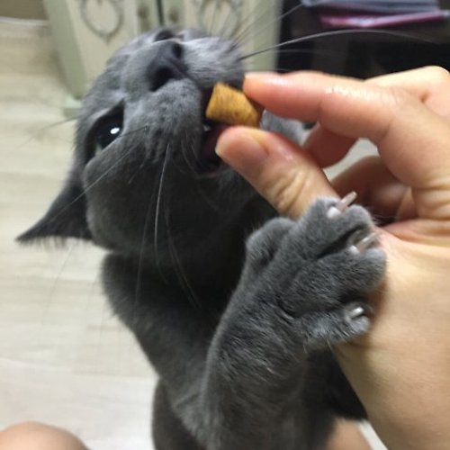 프로필 이미지