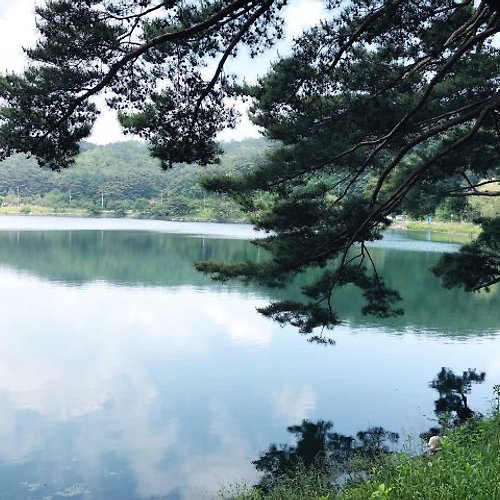프로필 이미지