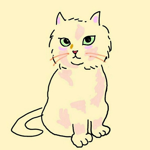 프로필 이미지