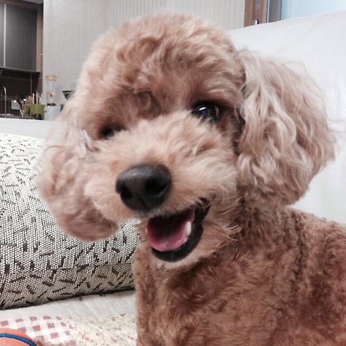 프로필 이미지