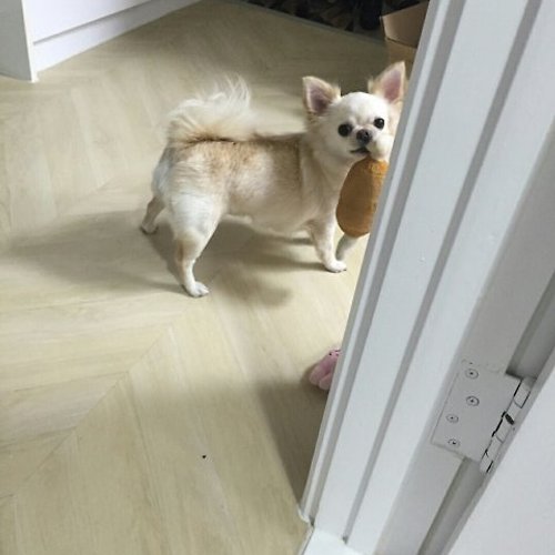 프로필 이미지