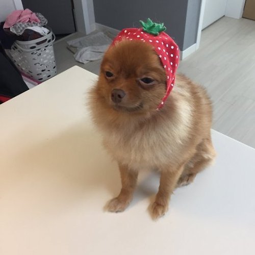 프로필 이미지