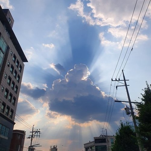 프로필 이미지