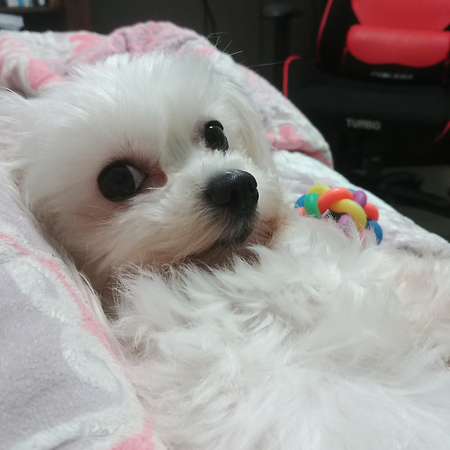 프로필 이미지