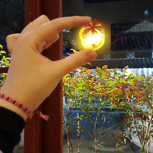 프로필 이미지