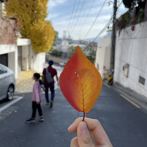프로필