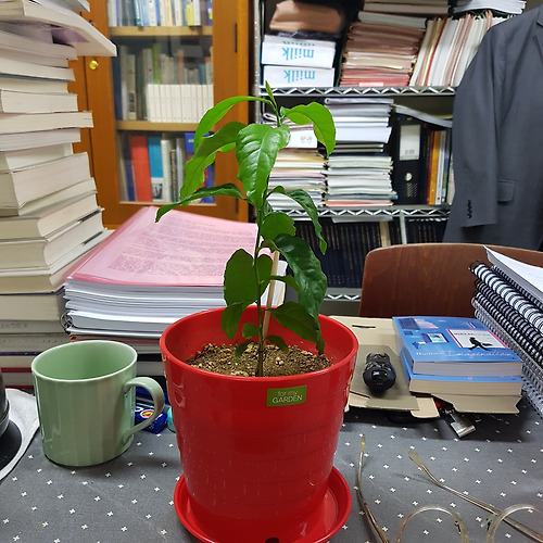 프로필 이미지