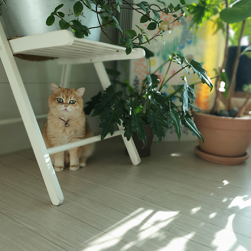 프로필