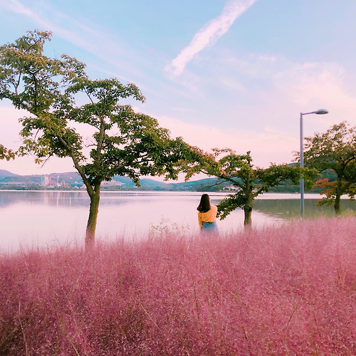프로필 이미지