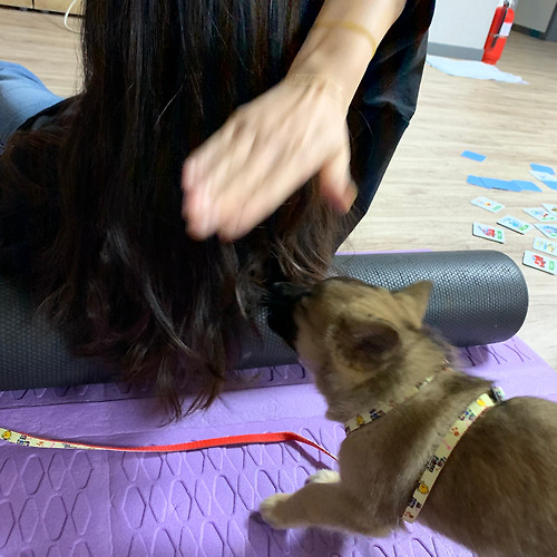 프로필 이미지