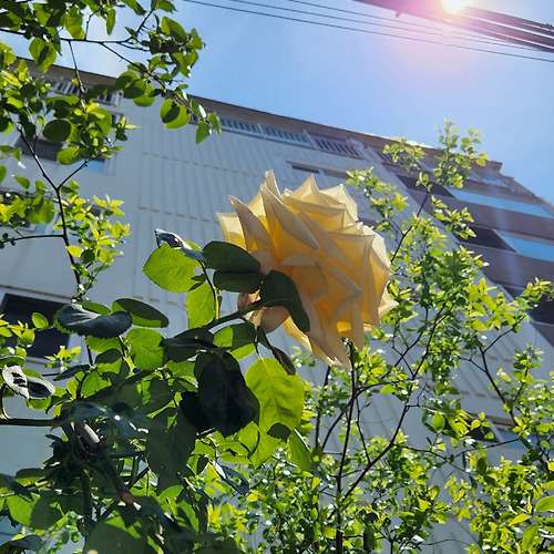 프로필 이미지